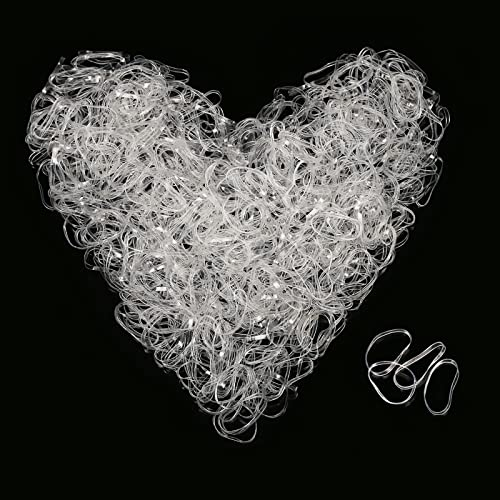 3000 Pcs Clear Hair Bands,SEELOK Elastic Braiding Bands Rubber Hair Ties Hair Holder for Kids Baby Girls (Clear)