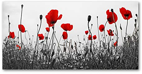 Tulup Red 100x50cm Tempered Glass Kitchen Splashback - Scratch Resistant, Electric, Wall Mount