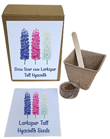 Larkspur Tall Hyacinth Seeds Grow Own Flower Kit Gardening Gift Personalised Birthday Mothers Day