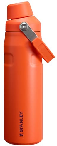 Stanley IceFlow Aerolight Bottle Fast Flow 24 OZ Tigerlily Plum