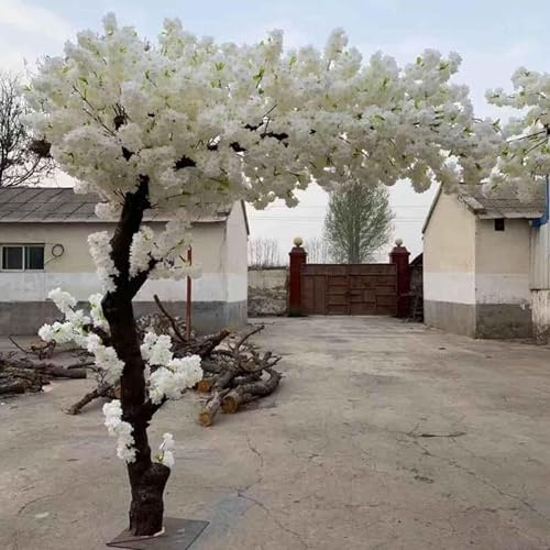 ZenSeFarin Weißer Kirschblütenbaum Künstlich Echtholzstiele, Gefälschte Pflanzen Für Kirschblütendekor, Weinender Kirschbaum, Sakura-Baum, Kunstpflanze,Extended-2x2m/6.6x6.6ft