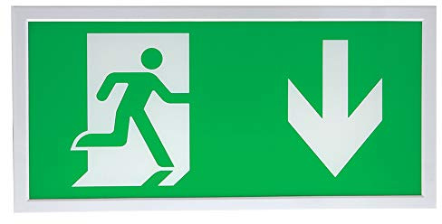 Pro Elec PEL00579 Warnschild für Notausgang