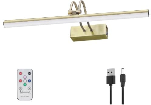 RAIFOOLLY Picture Light, 20in Battery Operated Picture Lights for Paintings,Metal Remote Display Art Light with Timer and Dimmable for Wall Painting,Frame, Portrait, Dartboard(Antique Brass), RF00280