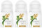 Dove Deo Roll-on Powered by Plants Ginger 3x50 ml (3er Pack) ohne Aluminiumsalze
