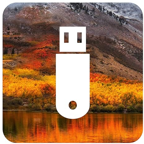 D-S Systems Clé d’Installation Compatible avec macOS 10.13 High Sierra USB OS X (Clé) d'installation Amorçable Récupération Bootable - Installation/Update/Downgrade