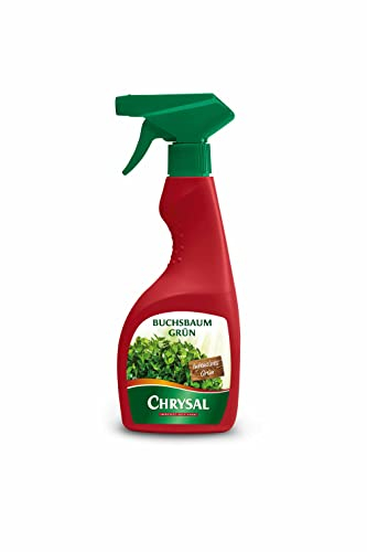 Buchsbaum Grün Sprühflasche 500 ml Chrysal