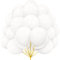 30 Pezzi Palloncini Bianchi in lattice Elio Bianchi 12 Pollici Bianco Crema con Nastro per Donne Ragazze Festa di Compleanno Baby Shower Nascita Bimbo Matrimonio Battesimo Decorazioni Doccia Nuziale