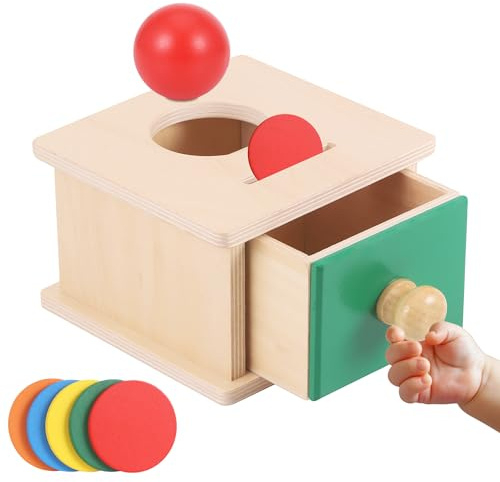 Starvortex Giocattoli Educativi Montessori per Bambini – Salvadanaio in Legno con Monete, Sorter di Forme e Impilabile Sensoriale, Ragazzi e Ragazze