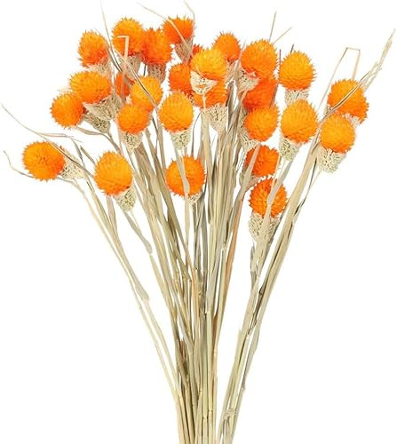 Minnhua 30PCS Fiori Secchi Decorativi Arancione Mazzi Fiori Secchi