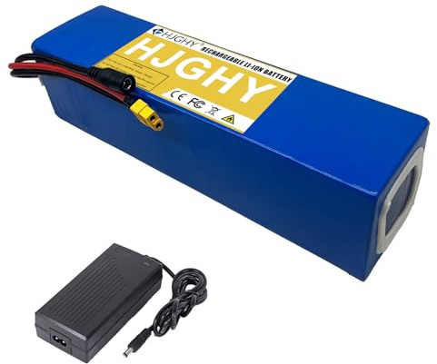 HJGHY Batterie au Lithium 24 V 15 Ah pour Trottinette/Hoverboard, Pack de Batteries PVC 22,2 V 22,5 Ah avec Chargeur, Batteries de Remplacement pour Trottinette/Hoverboard,22.2v15ah