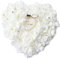 Bodhi2000 ® Ringkissen mit Rosen, Ringschatulle