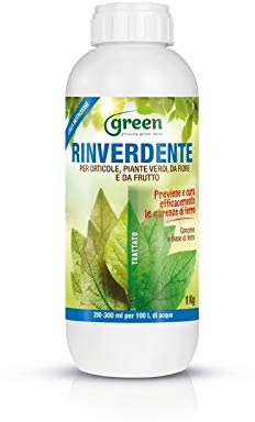 Green Ravenna Nutrimento rinverdente concime a Base di Ferro chelato DTPA previene e Cura 1 lt