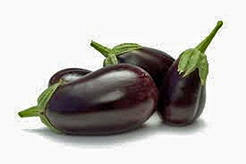 Auberginensamen, Black Beauty, Erbstück, biologisch, nicht GVO, 500 Samen