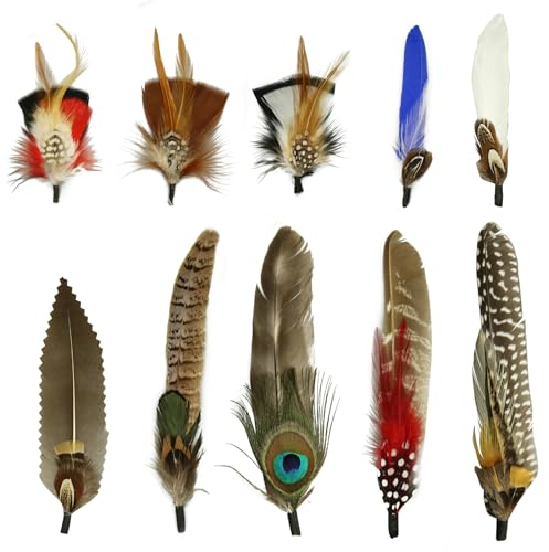 10 Stück Hutfedern, natürliche Federn, Pfauenfedern für Hüte, bunte Federn, Anstecker, Cowboyhutfedern für Western Cowboyhüte, Weihnachtsfeierhüte, Federn, Zubehör, DIY Dekorationen (10 Stile)