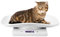 Heaveant Digitale Haustierwaage, 10 Kg/1 G elektronische LCD-Waage für kleine Tiere, 4 Gewichtungsmodi (oz/ml/lb/g) für Haustiere und Küche