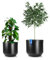 BigDean 2er Set Blumentopf ø 40 + 46 cm anthrazit mit herausnehmbaren Innentopf - wetterfester Blumenkübel aus bruchsicherem Kunststoff - Pflanzkübel groß Außen & Innen geeignet