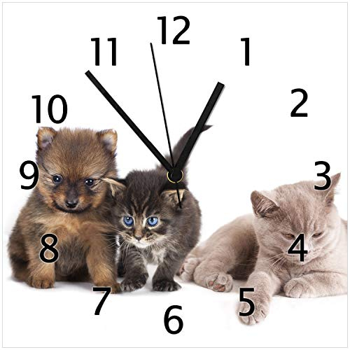 Wallario Design-Wanduhr Hundewelpen und Katzenjunge aus Glas, Motiv-Uhr Größe 30 x 30 cm, Schwarze Zeiger