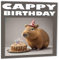 Capybara Geburtstagskarte – Cappy Birthday A5