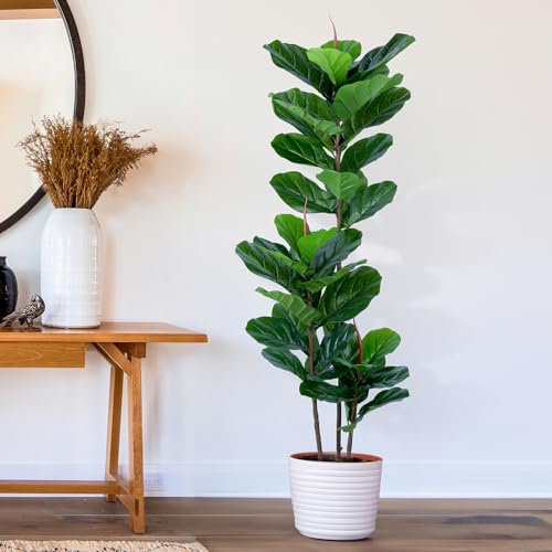 Yepdin Figuier artificiel à feuilles de violon de 1,5 m - Ficus artificiel - Feuilles de violon artificielles en pot pour intérieur et extérieur - Plantes artificielles décoratives grandes