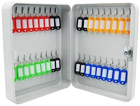 Armoire à clés murale avec 36 positions de verrouillage pour la maison ou le bureau