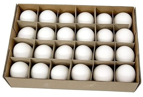 tfl 24 STK Hühnereier- ausgeblasen - Natur Weiss Dekoeier Ostereier Basteln Osterdeko Osterbasteln Osterschmuck Deko Eier Hühnerei Dekoeier