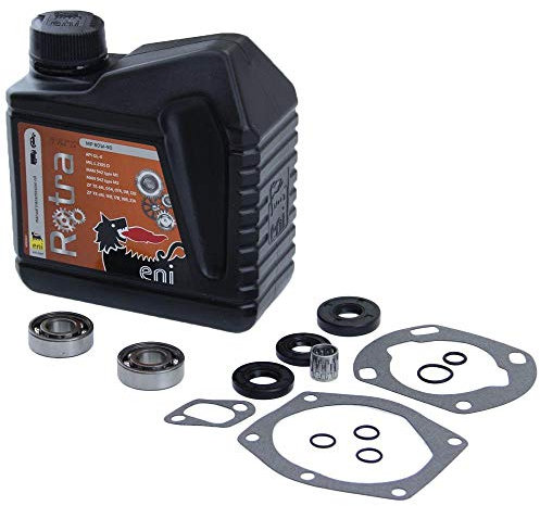 Dichtsatz Wellendichtring SKF Lager Getriebeöl kompatibel mit Hercules Prima 3 5 MX M5 HR2 Sachs 505/2 A B C 2-Gang Motor