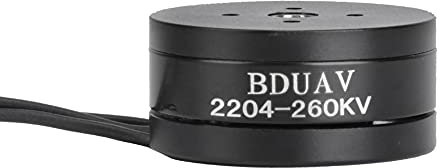 Brushless Motor, Outdoor 260KV Brushless Motor Camera RC Drones Accessory Brushless Dc Motor Drone Motor for RC Drones,Camera ((2204))