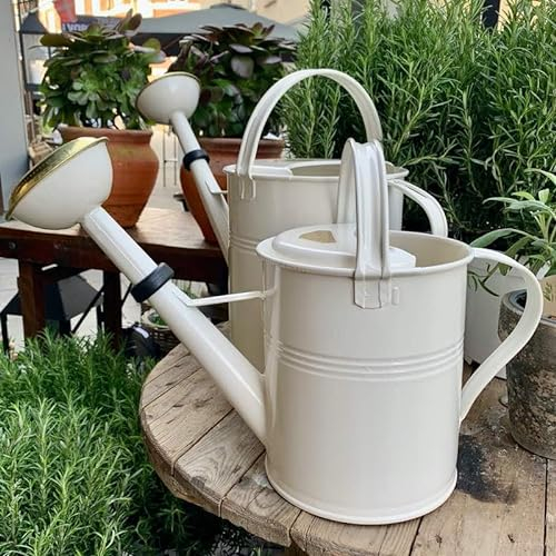 Plint Arrosoir à eau en métal zinc 5 l - Verseuse rétro hiver blanc avec tête d'arrosage