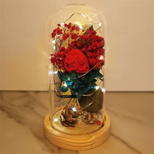 Saint Valentin Rose Eternelle sous Cloche, La Belle et la Bête Rose, Dôme en Verre Rose éternelle avec lumière LED et Base, Mariage Maison Décor, Cadeau Pour Femme, Amie, Anniversaire, Fête des mères