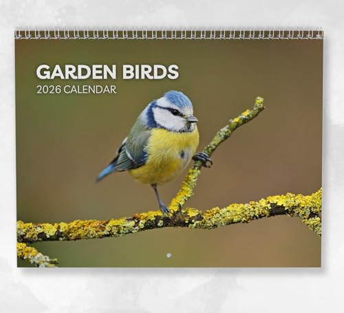 Gartenvögel Kalender 2026: Monatlicher Wandkalender mit Notizen, hängend im A4-Format, inklusive Schlüsseldaten & Feiertagen