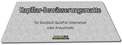 STP Kapillarmatte als Zubehör für Standard QuickPot Untersetzer 33,5x51,5cm