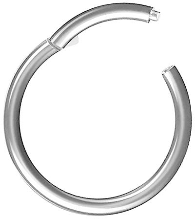 Piercing Ring Segmentring Clicker Scharnier Titan Septum Tragus Helix Ohr Nase Lippe Nasenring Nasenpiercing Lippenpiercing Dünn Silber 0,8mm x 6mm