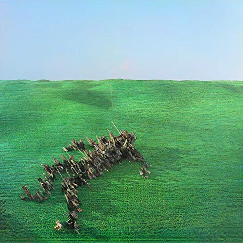 Bright Green Field [Vinyl LP]