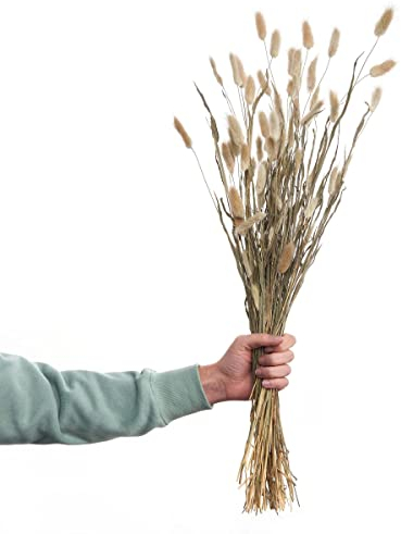 BUTLERS Flower Market Trockenblumen Lagurusgras Länge 70cm