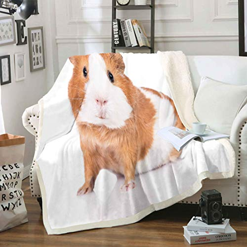 Loussiesd Kinder 150x200cm Kuscheldecke Süß Meerschweinchen Wohndecke für Mädchen Jungen Tier Thema Flanell Fleecedecke Raumdekoration Meerschweinchen Muster Mikrofaser Decke