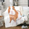 Loussiesd Kinder 150x200cm Kuscheldecke Süß Meerschweinchen Wohndecke für Mädchen Jungen Tier Thema Flanell Fleecedecke Raumdekoration Meerschweinchen Muster Mikrofaser Decke