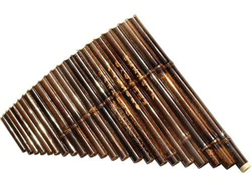 Panflöten Professionelle Panflöte 25 Röhren C-Taste G-Taste Lila Bambus Spielt Panflöte Instrument