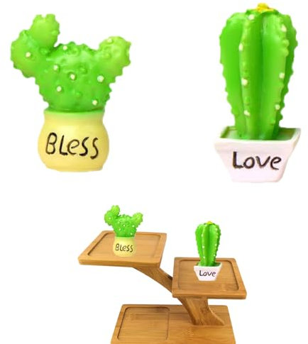 Kisstta Lot de 2 mini plantes ornementales de jardin - Cactus vert - Petit cactus pour voiture, table, bureau