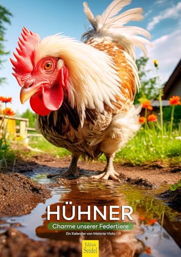 Edition Seidel Premium Kalender Hühner 2026 Format DIN A3 Wandkalender Tierkalender heimische Tiere Federtiere Vogel Vögel Huhn Melanie Viola