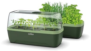 Romberg BoQube L Plus Mini Gewächshaus Anzuchtset & Pflanzkasten mit 10 selbstbewässernden Pflanzzellen, Bewässerungssystem, Zimmergewächshaus für Indoor Kräutergarten, 41×17×23, Green Edition