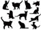 Lichi Wandsticker für Kinderzimmer, Motiv kleine Katzen, Schwarz