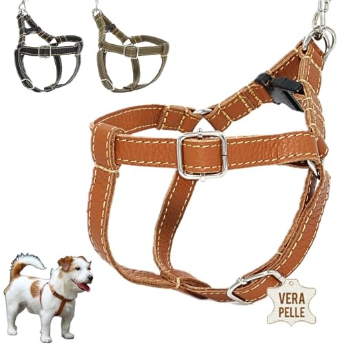 DOGISSIMI Hundegeschirr für kleine und mittlere Hunde, Verstellbares und ergonomisches Hundegeschirr aus echtem Leder, handgefertigt in Italien, Leder-Hundegeschirr (S, Leder)