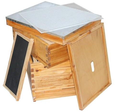 WJLYDM Bienenstock-Box Gewachste Bienenstock-Sets mit 20 Rahmen, komplettes Bienenhaus mit 1 tiefen und 1 mittelgroßen Bienenstock FüR BienenzüChter