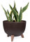 KONZEPT Macetero grande de 29 cm, marrón, maceta con patas, resistente a la intemperie y a los rayos UV, con inserto de drenaje de agua, maceta para interior y exterior
