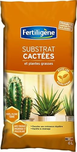 Fertiligene Substrat pour Cactées et Plantes Grasses, Terreau Spécial, 6 L
