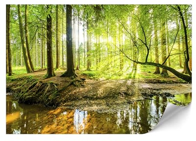 LUMASOUL Papel Pared 400x280 cm - Papel Pintado Pared con motivo Naturaleza - Papel Pared Moderno para Salón y Dormitorio - Fotomurales Fácil de instalar - Bosque II