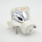 SeiZed Bloße Lampe USH10/NSHA220B, nur Glühbirne, kein Gehäuse, passend for Hitachi DT00841 DT00911 DT00891 DT00893 HCP-X300 HCP-880X 890X 900x