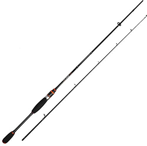 Roy Fishers Speed Spinning 1,98m 2- TLG 4-18g