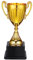 MAGICLULU Coppa Premio con Base Nera per Riconoscimenti e Premi Compatto per Eventi Scolastici e Celebrazioni di Successi