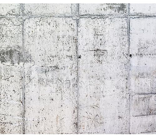 murando - Vlies Fototapete Betonoptik 450x315 cm - Foto Tapete Schlafzimmer Wohnzimmer Moderne Vliestapete XXL Wandtapete Motivtapeten Bildtapete 3d Effekt Wand Dekoration - grau f-A-0332-a-a